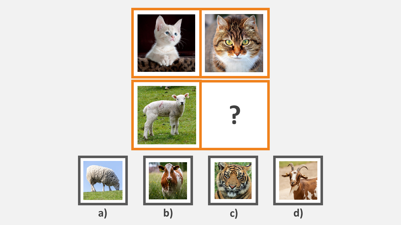 The CCAT Kindergarten Test