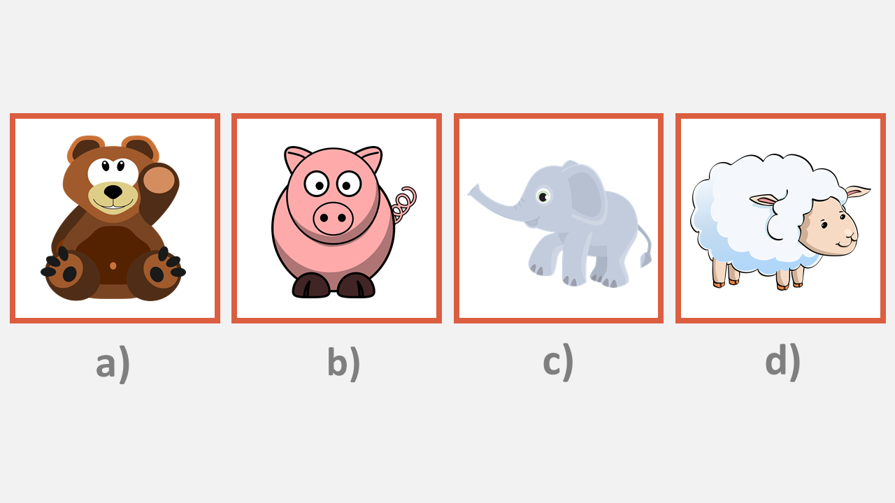 OLSAT level B. Which is Susan's favourite animal, the bear, pig, elephant or sheep?