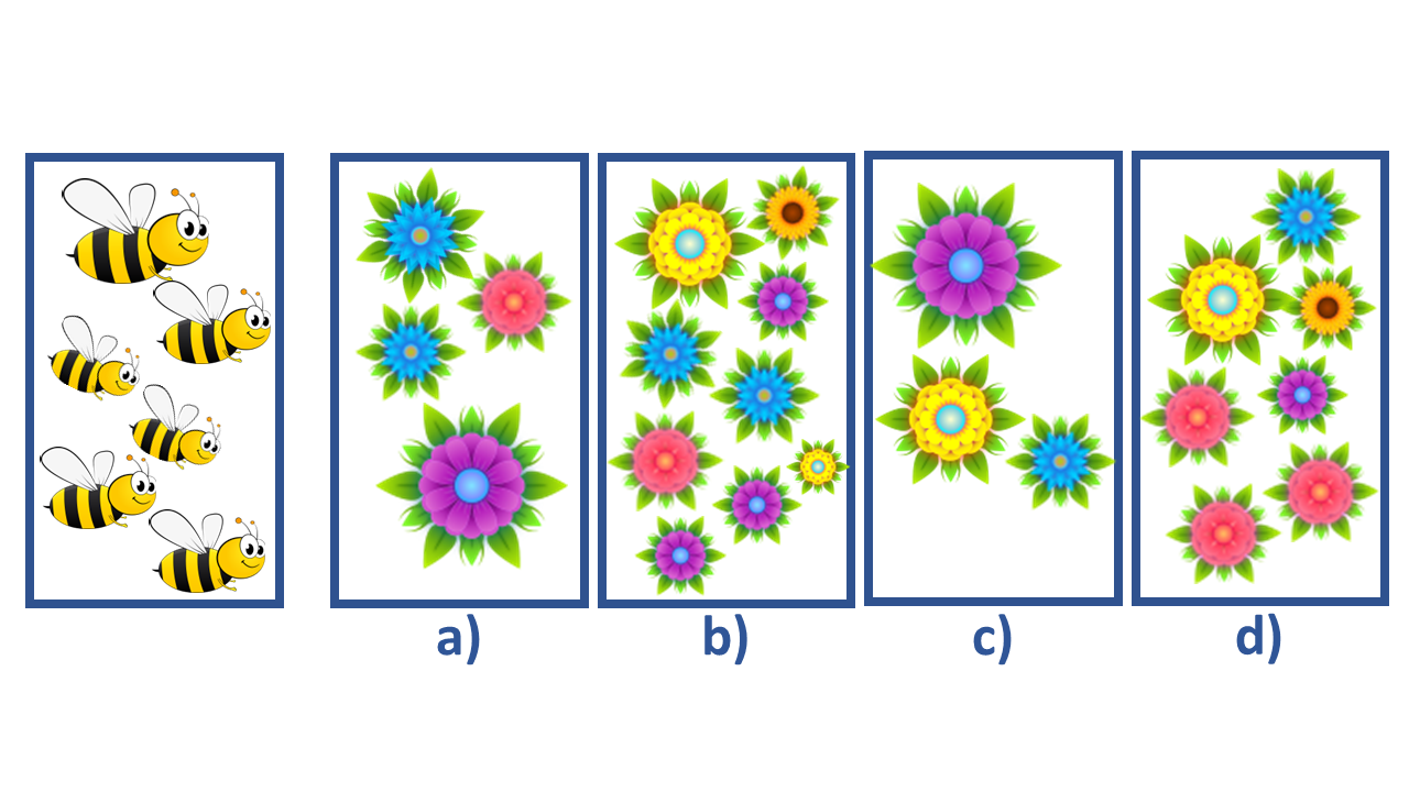 Non-Verbal Example Level B/C