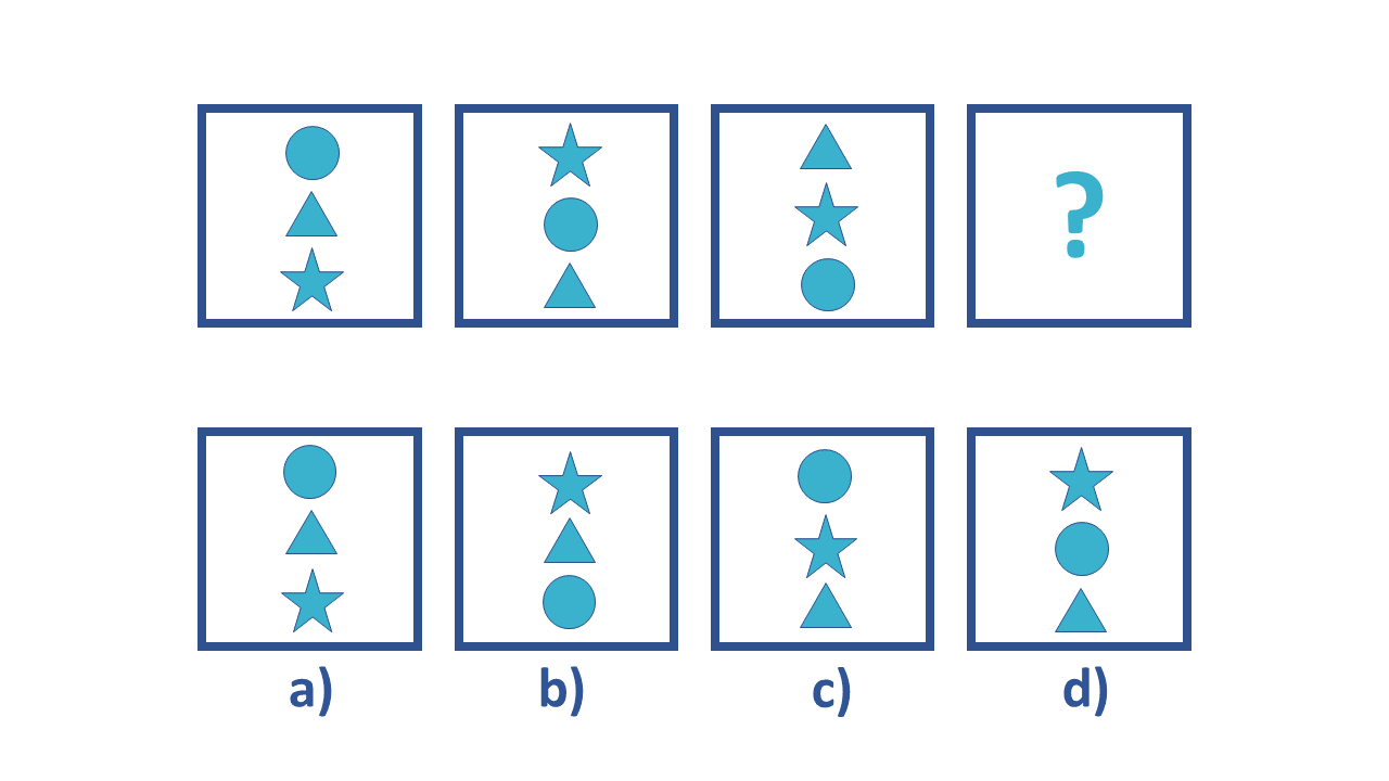 Non-Verbal Example Level D