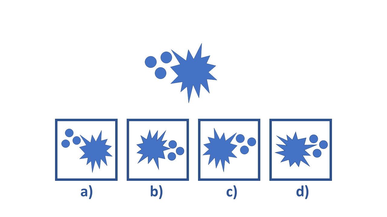 EEI Spatial Reasoning Test