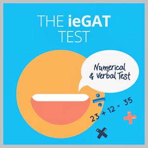 A Guide to the ieGAT Test: Examples and Tips