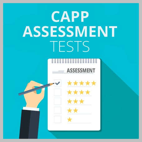 Capp Assessment Tests: Numerical, Verbal + Critical Reasoning 