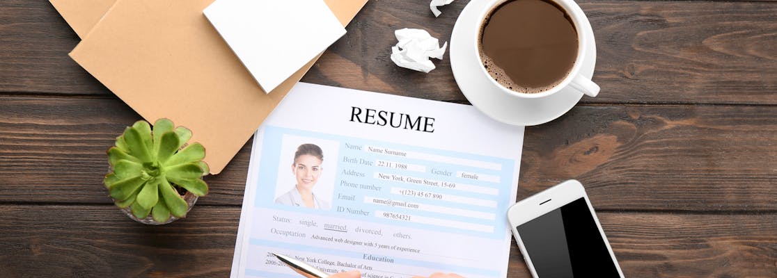 13 Best Paid and Best Free Resume Builder in {YEAR}