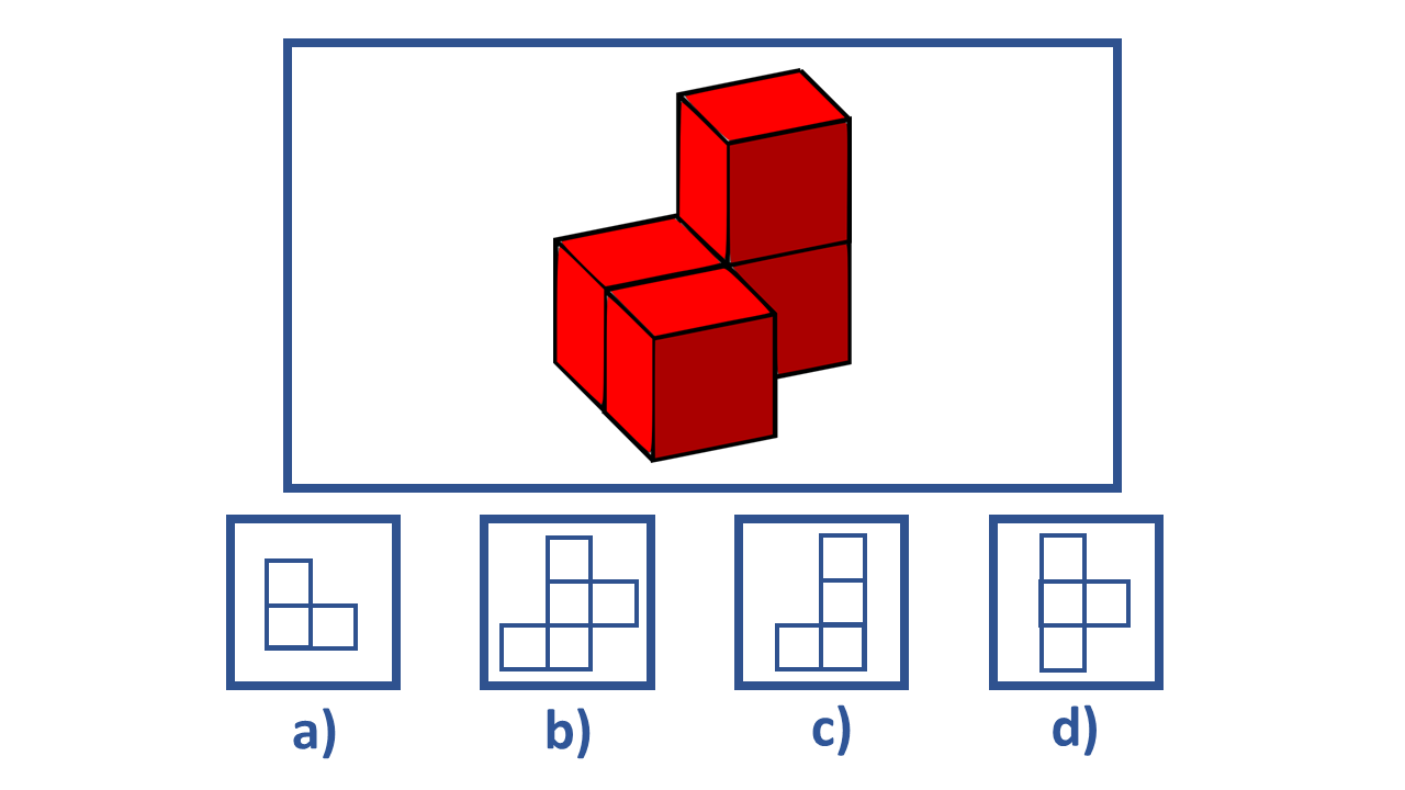 Cognitive Ability Test