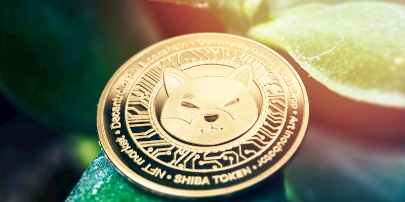 How to Buy Shiba Inu Coin 2024