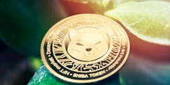 How to Buy Shiba Inu Coin 2024