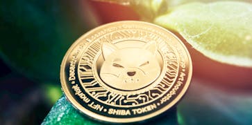 How to Buy Shiba Inu Coin 2023