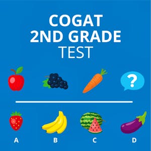 A Full Guide to the CogAT Test 2nd Grade: Examples & Tips