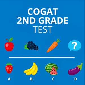 A Full Guide to the CogAT Test 2nd Grade: Examples & Tips