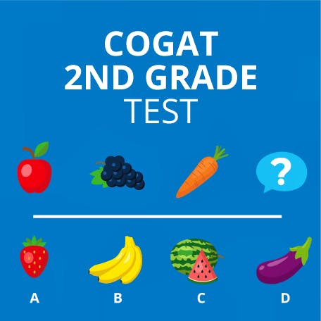 A Full Guide to the CogAT Test 2nd Grade: Examples & Tips