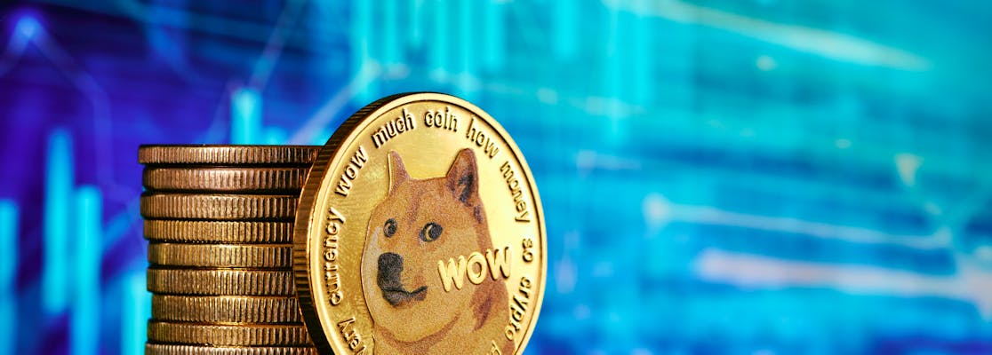 Best Place to Buy Dogecoin 2024