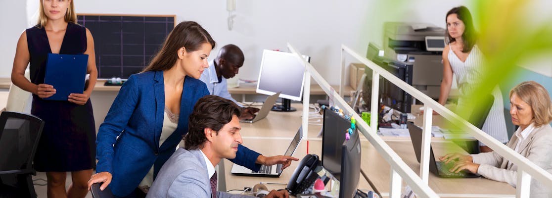 Ernst & Young (EY) Internships {YEAR}