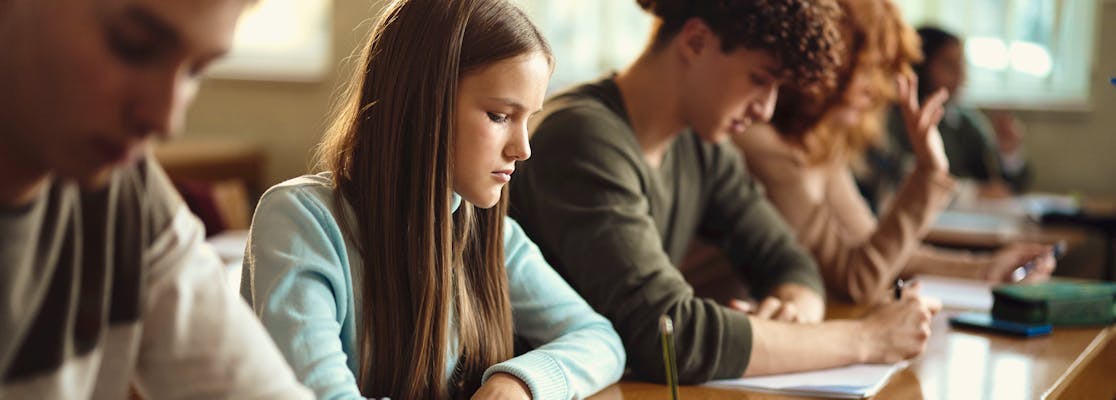 The WISC Test (Wechsler Intelligence Scale for Children)