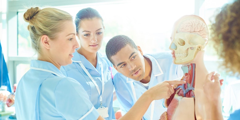 HESI A2 Anatomy and Physiology: Guide/Tips/Free Tests