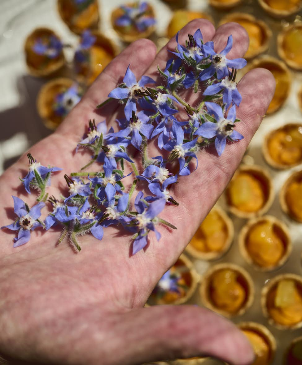 Ein Koch präsentiert frische Blüten die er für die Dekoration der Speisen nutzt.