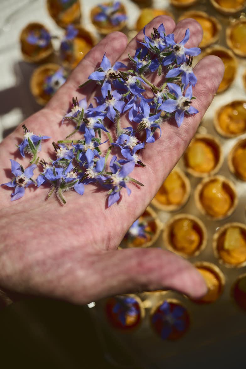 Ein Koch präsentiert frische Blüten die er für die Dekoration der Speisen nutzt.