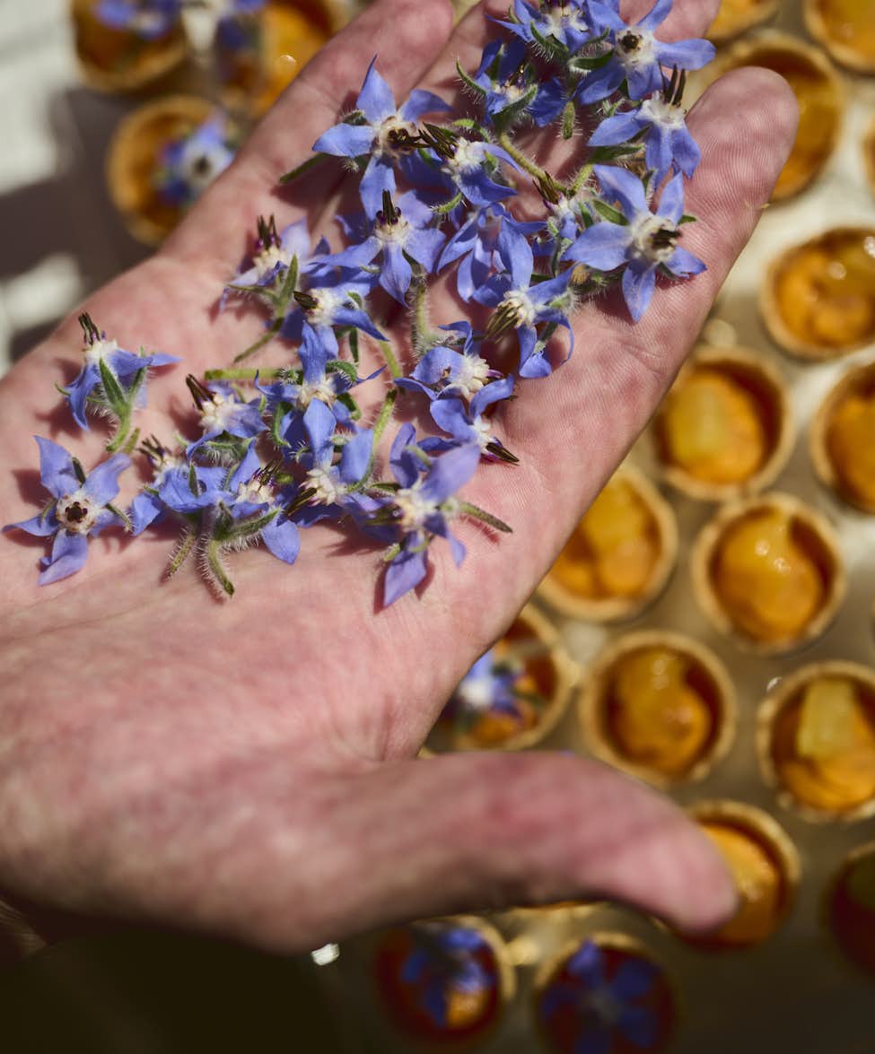 Ein Koch präsentiert frische Blüten die er für die Dekoration der Speisen nutzt.