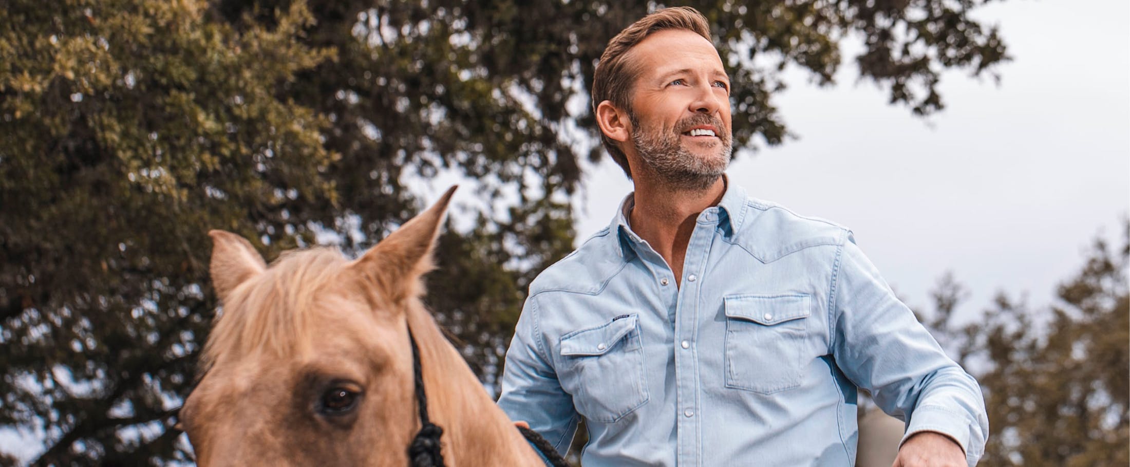 Man sitting on a horse.