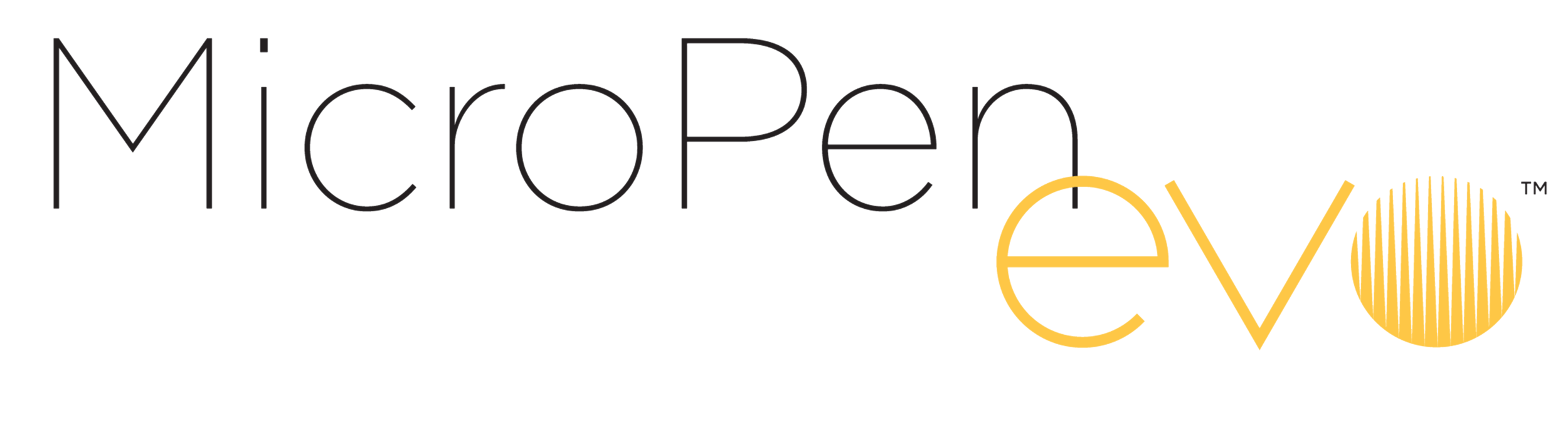 MicroPen EVO Image