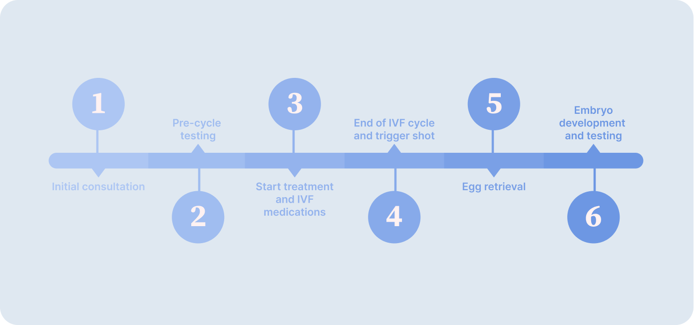 6 steps in an IVF treatment