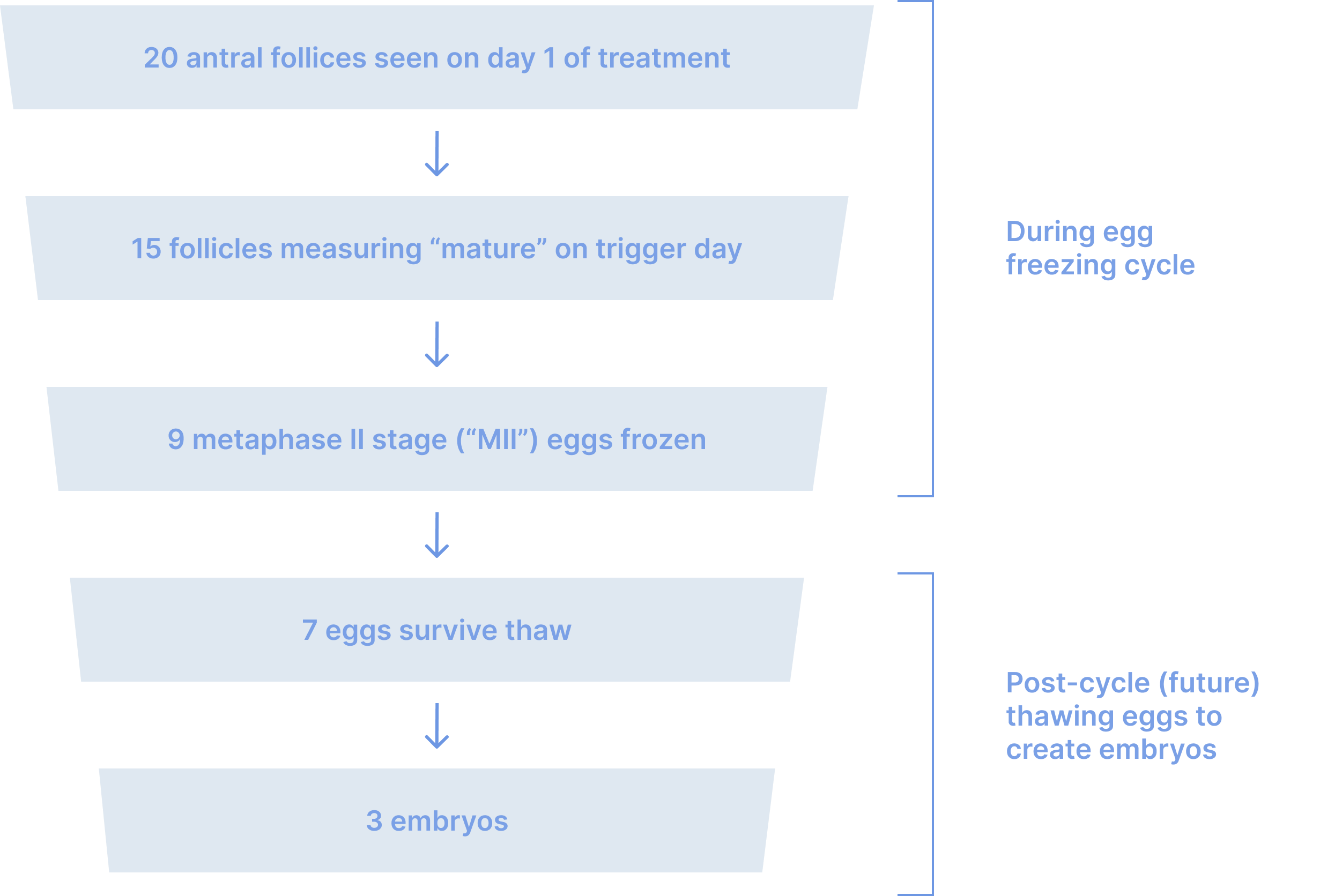 Egg freezing outcomes during and after the cycle.