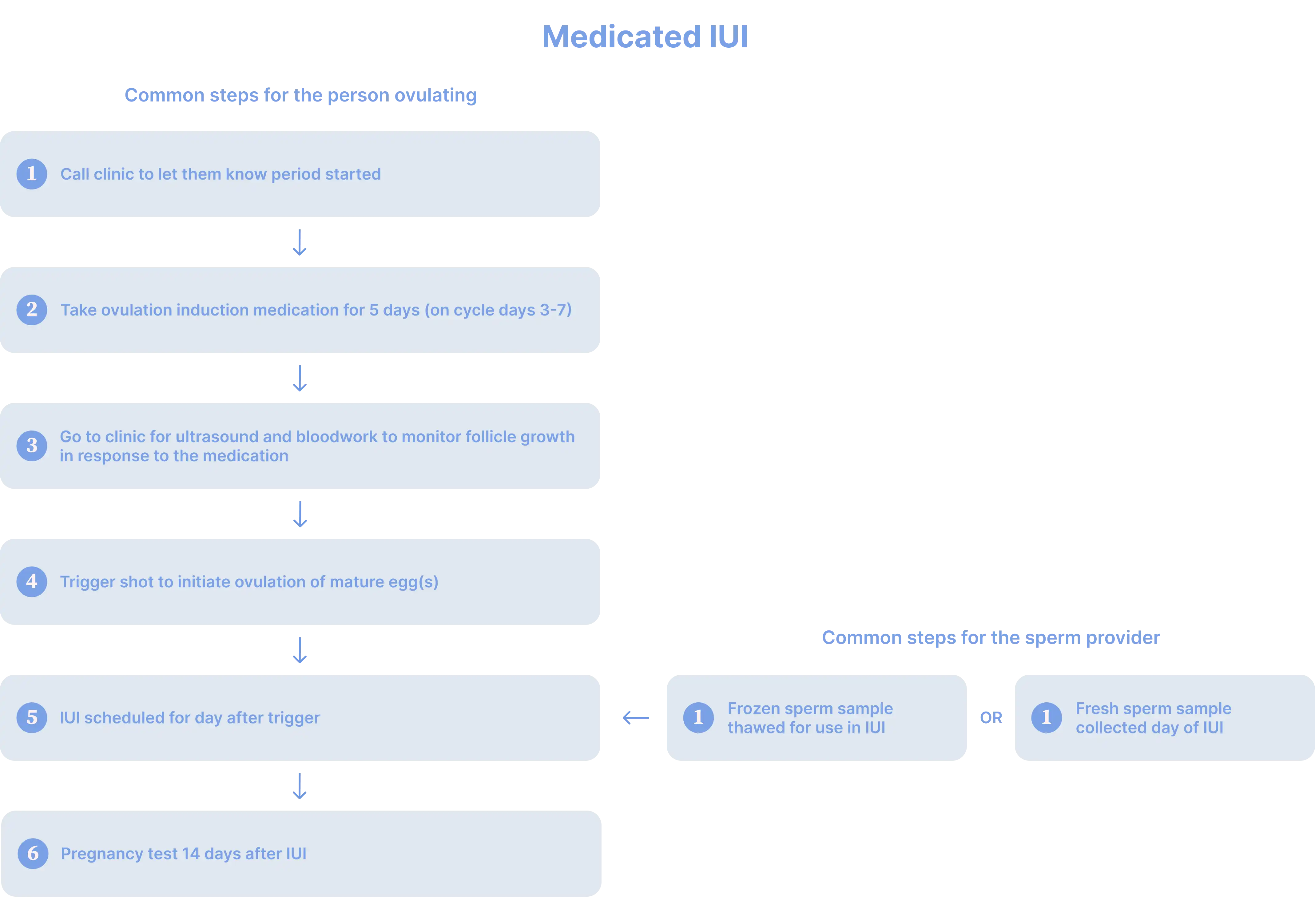 Common steps for a medicated IUI cycle.