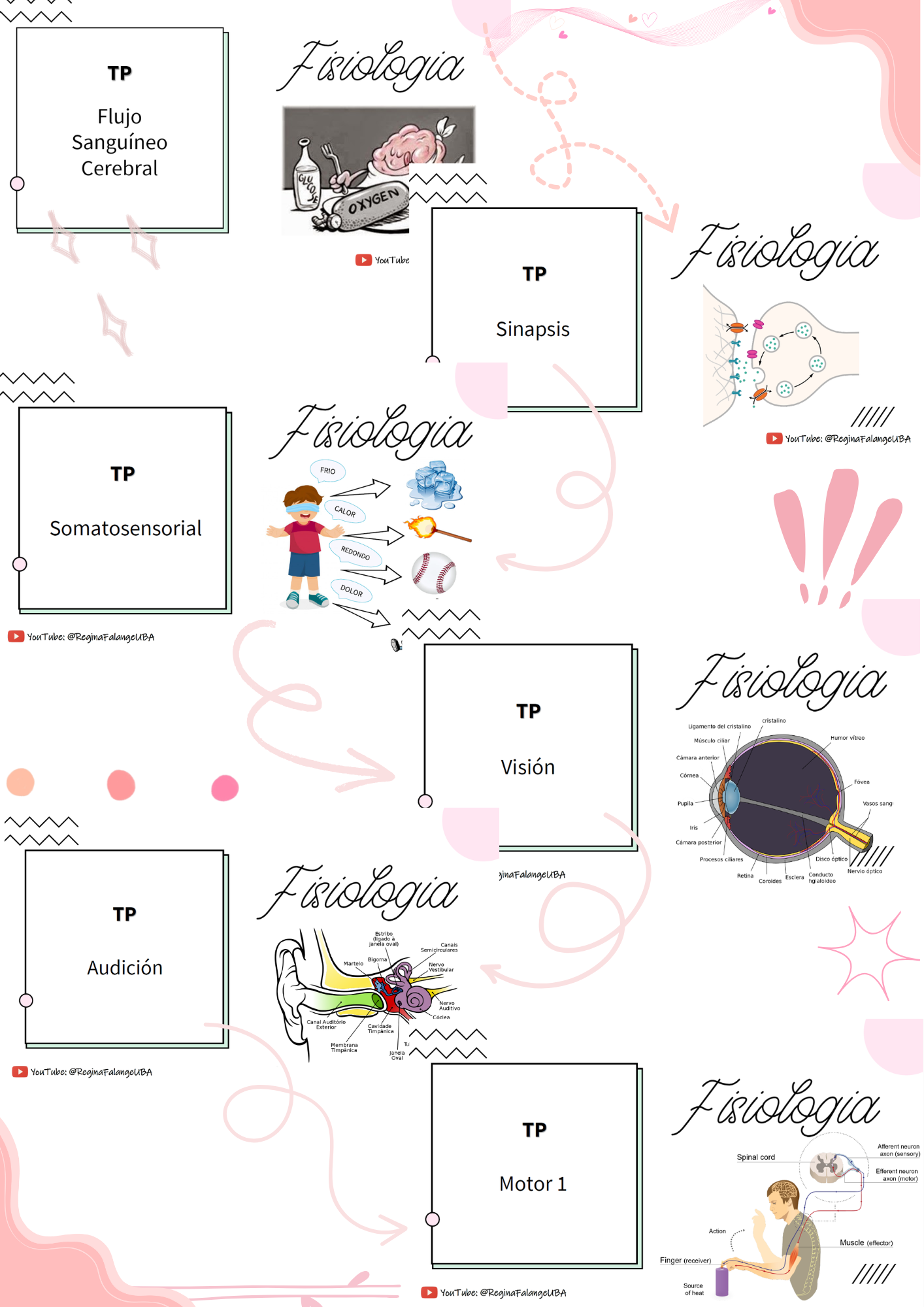 Power Point PDF