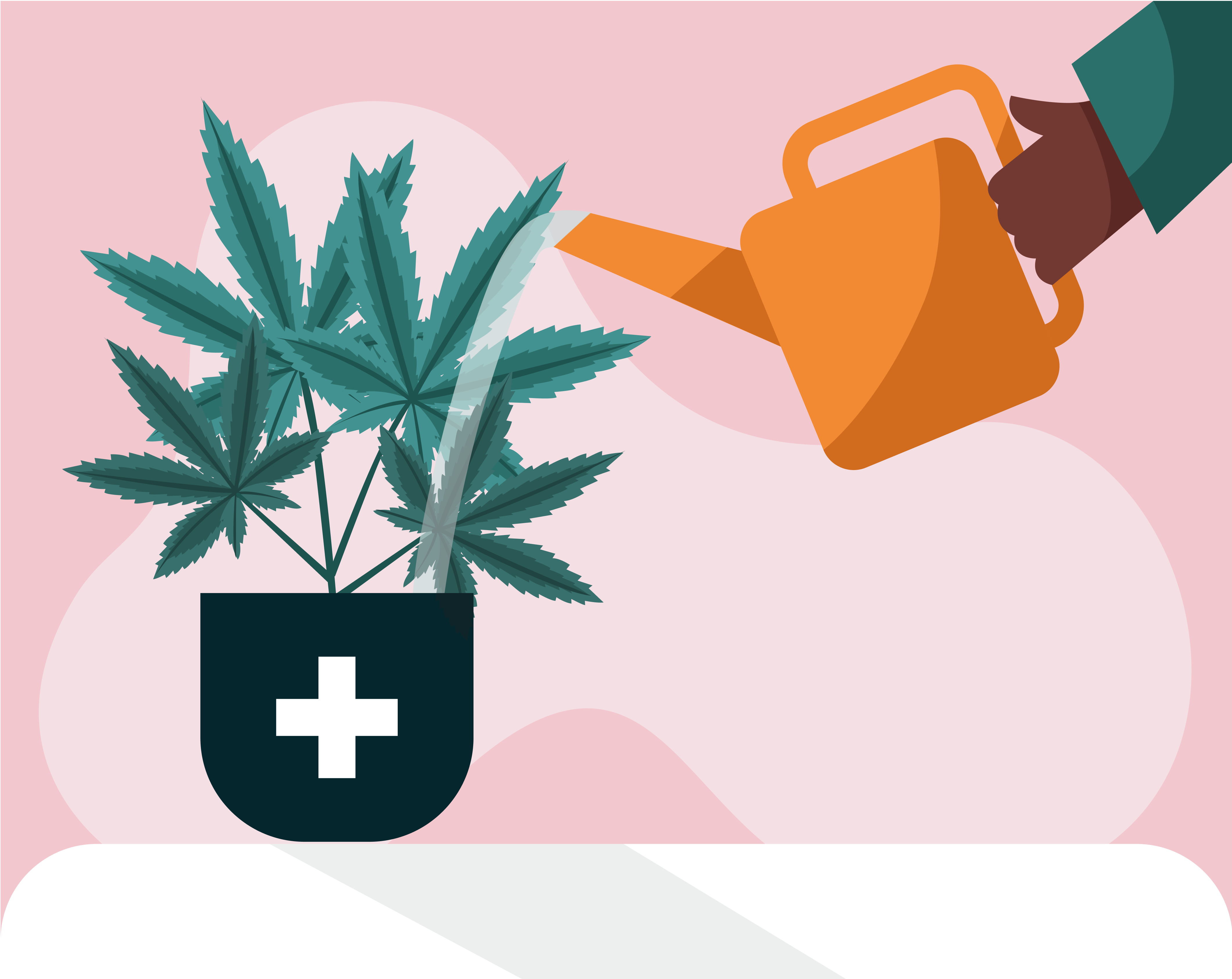 Medical cannabis leaves for medical cannabis treatment