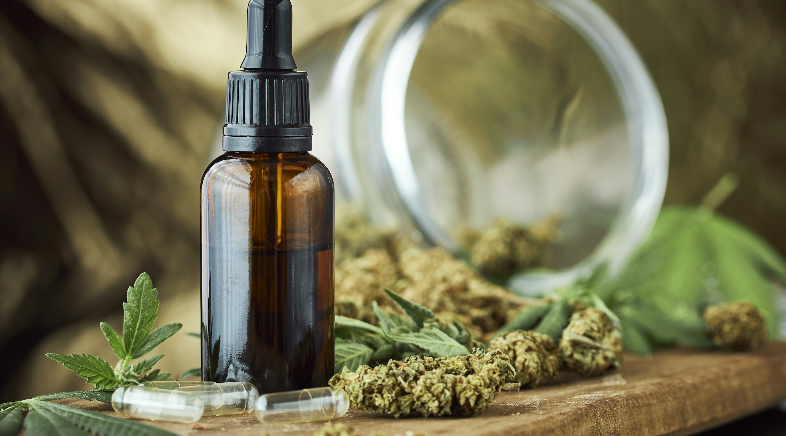 What role do terpenes play in CBD oil?