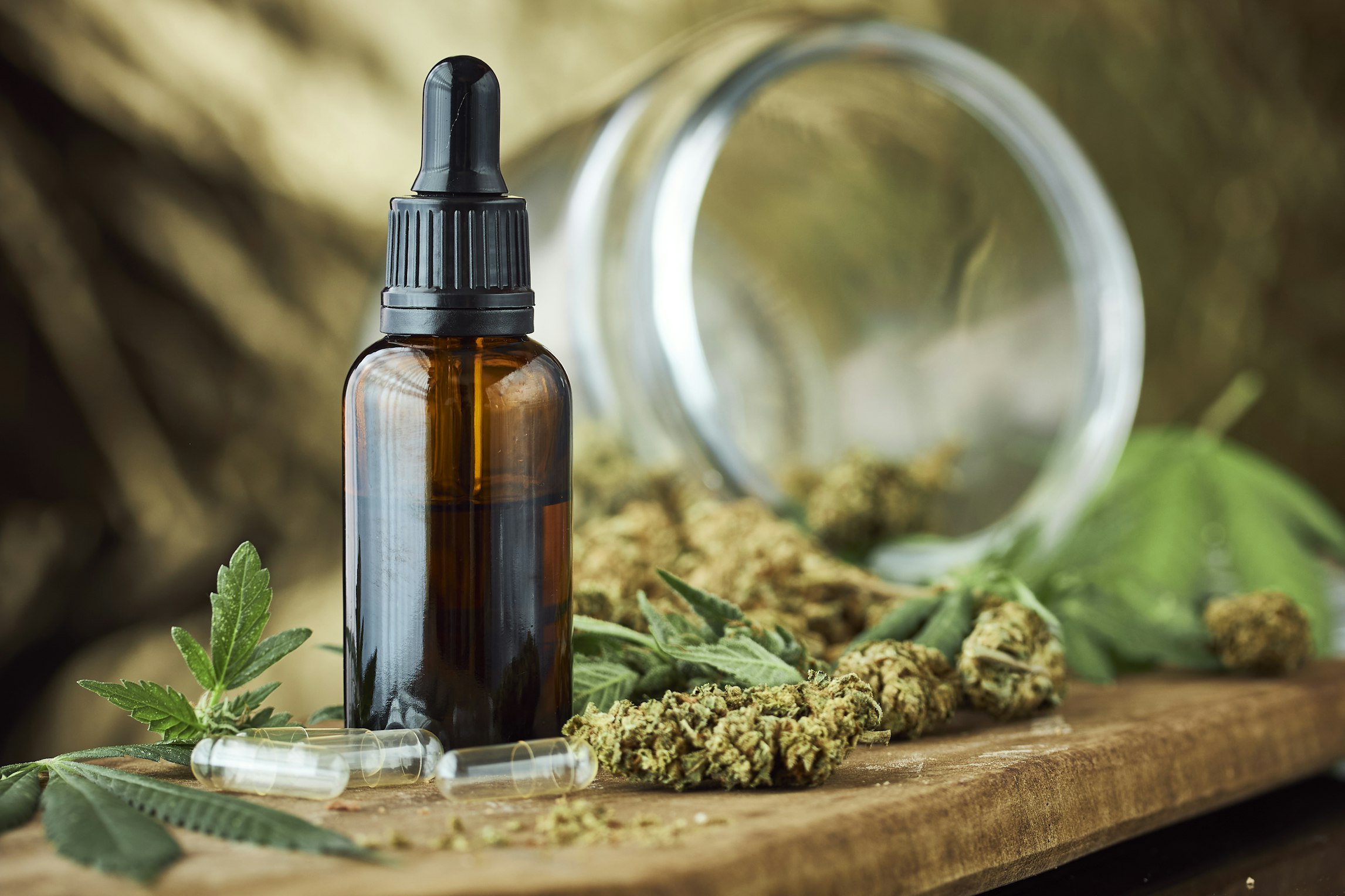What role do terpenes play in CBD oil? What role do terpenes play in CBD oil?
