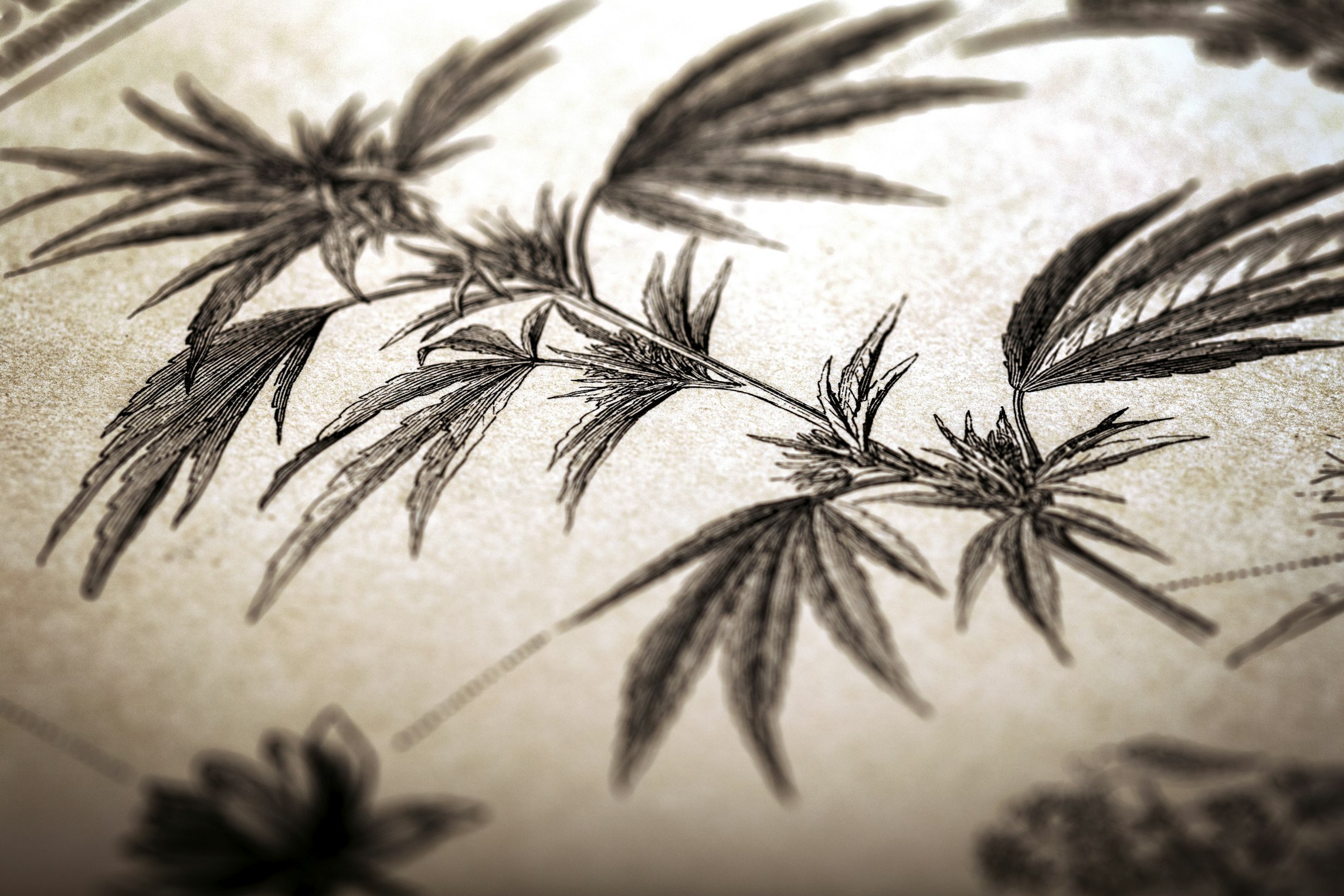 A historical overview of cannabis legality in the UK