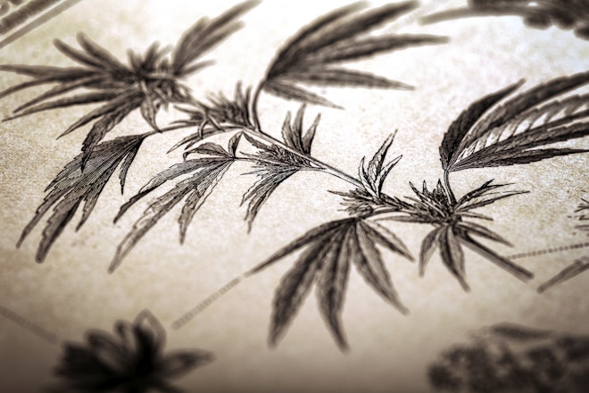 A historical overview of cannabis legality in the UK