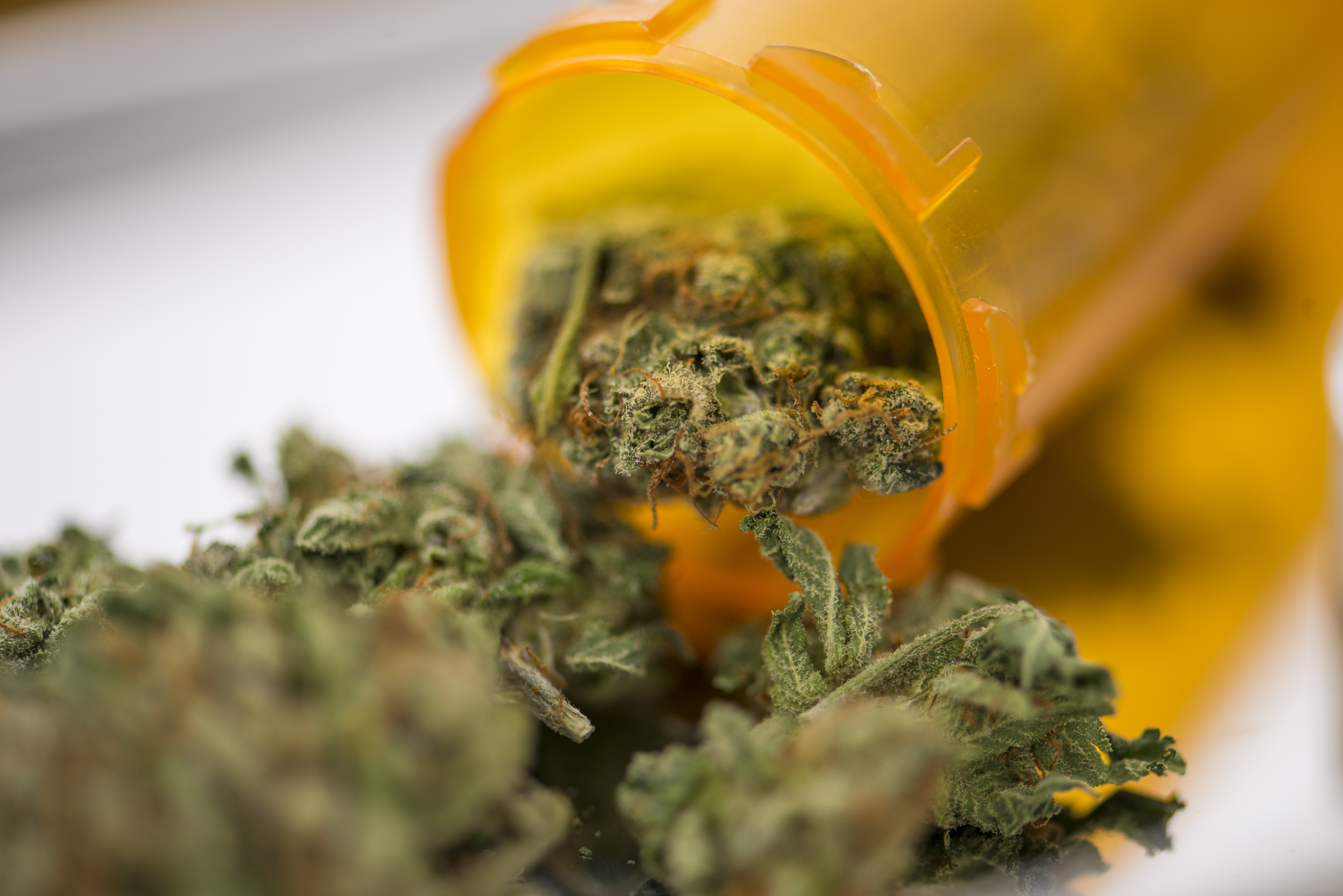 medical cannabis prescription and the police