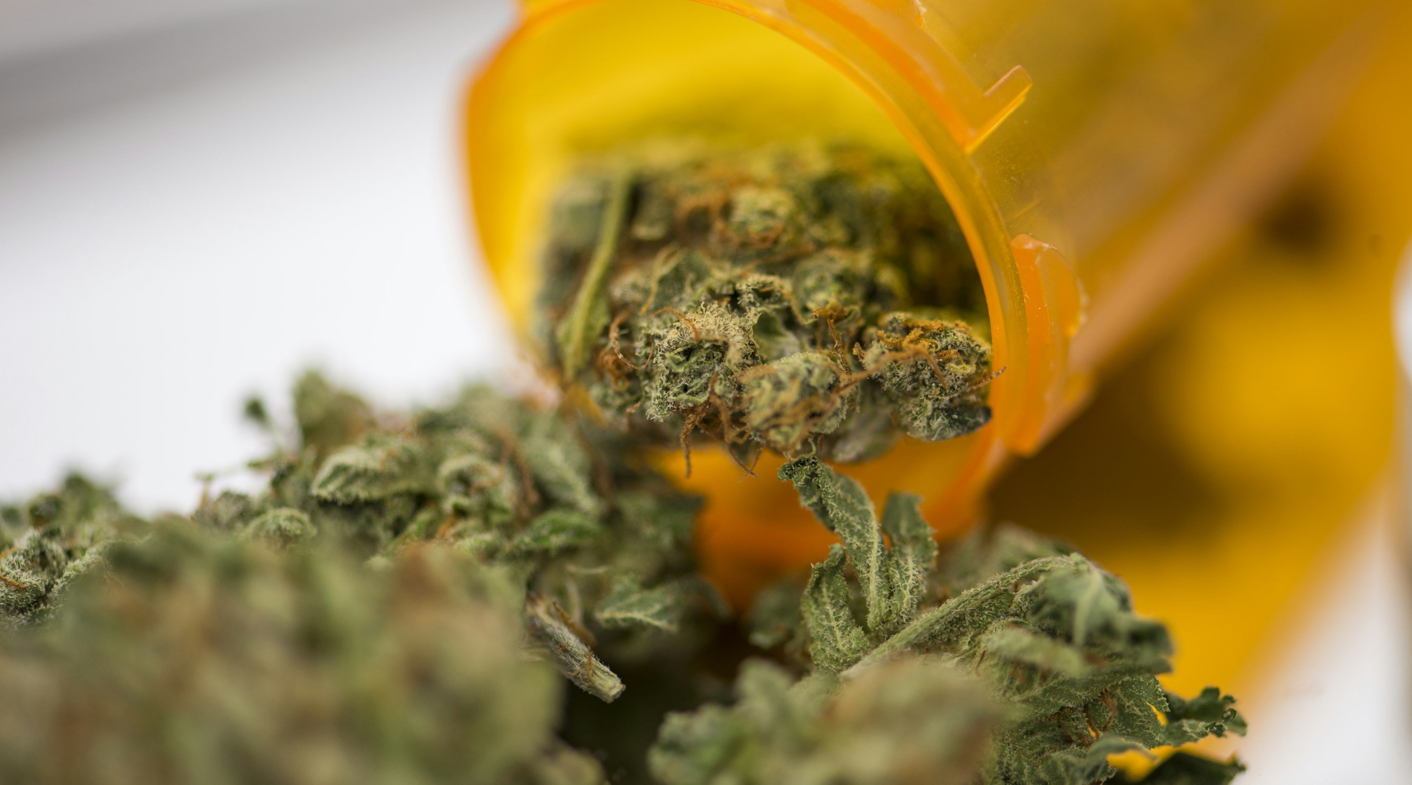 How should you carry your medical cannabis prescription? How should you carry your medical cannabis prescription?