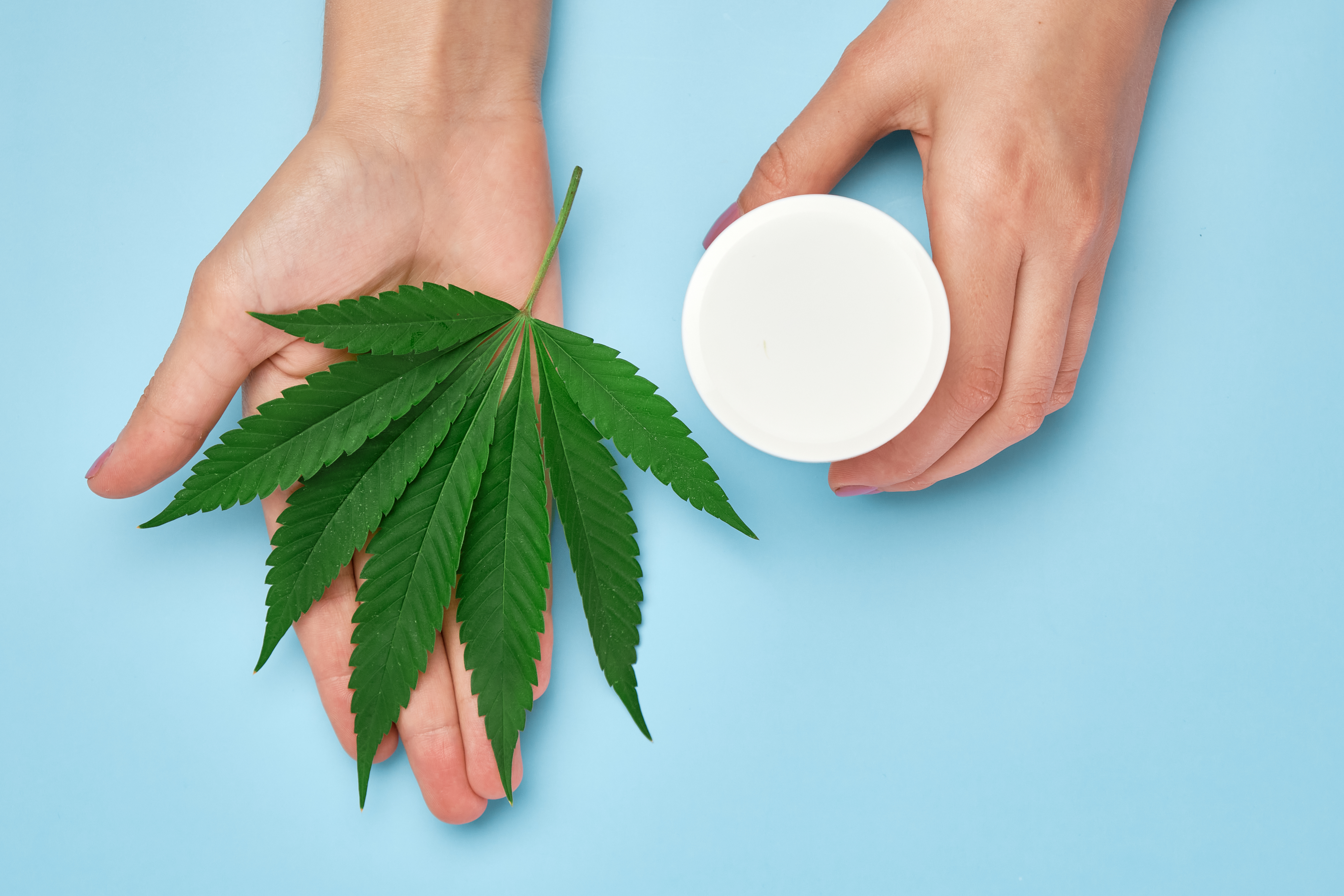 CBD Product Types and the Entourage Effect 
