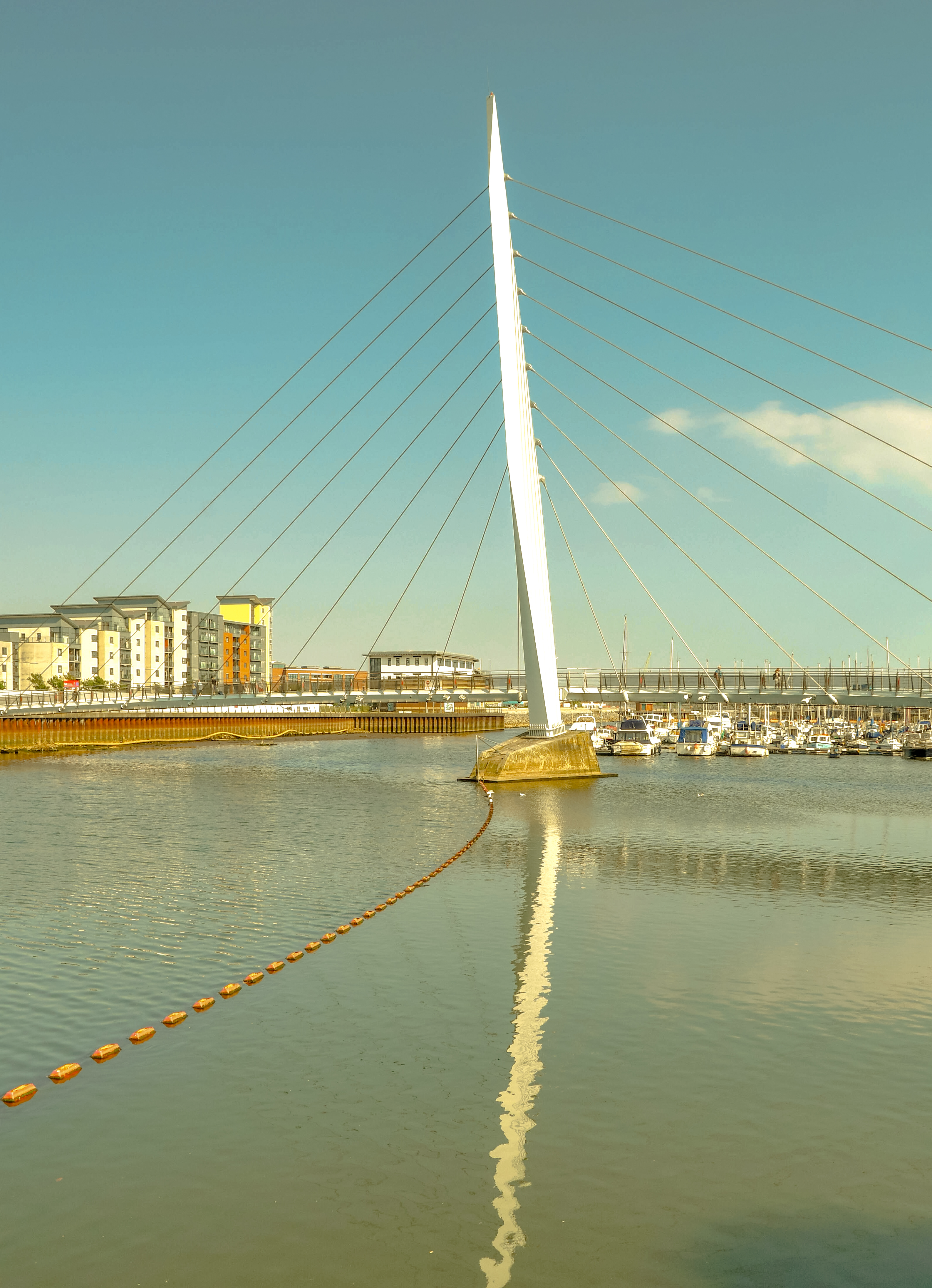 Medical Cannabis City Swansea UK