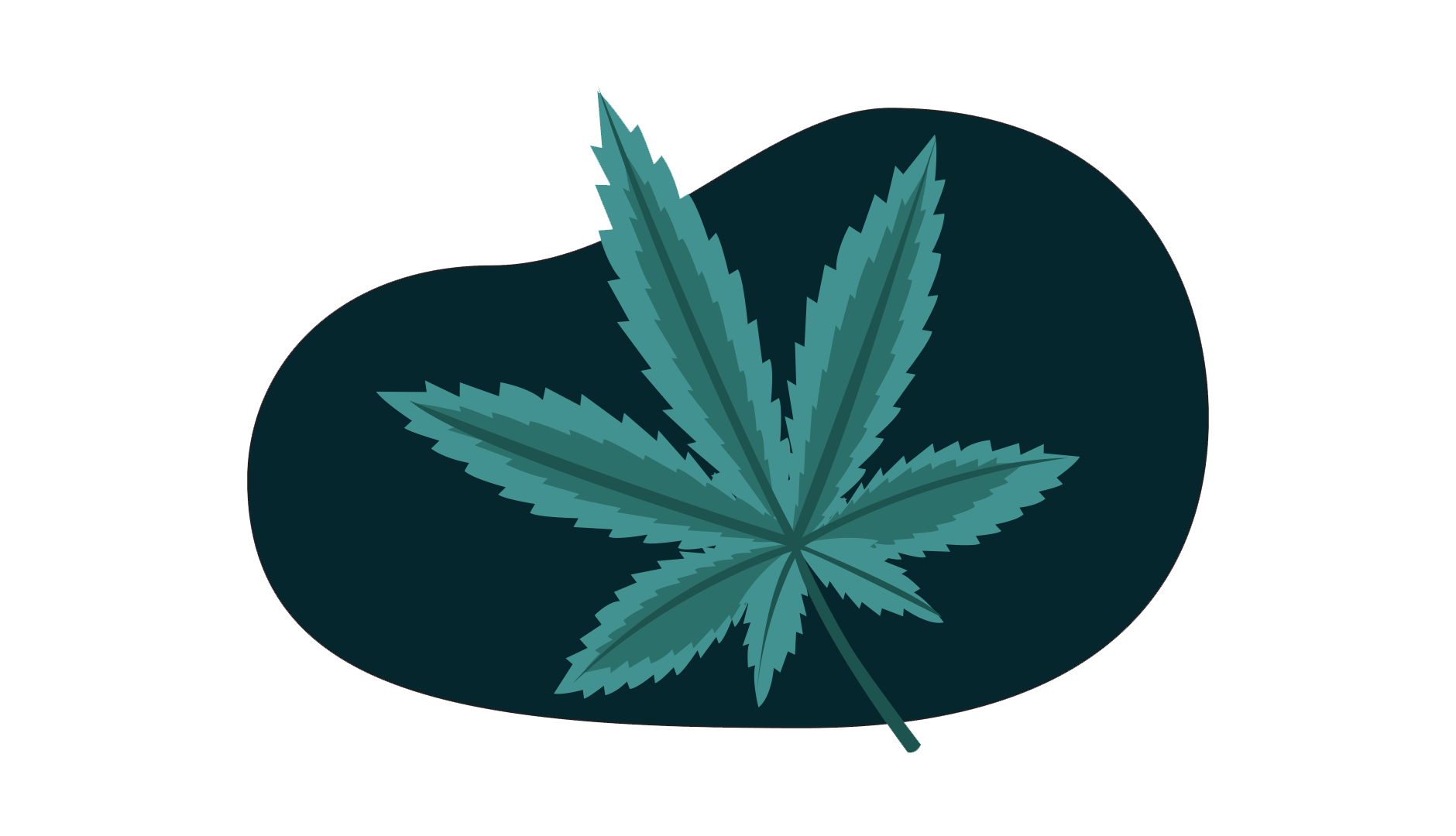 weed cannabis