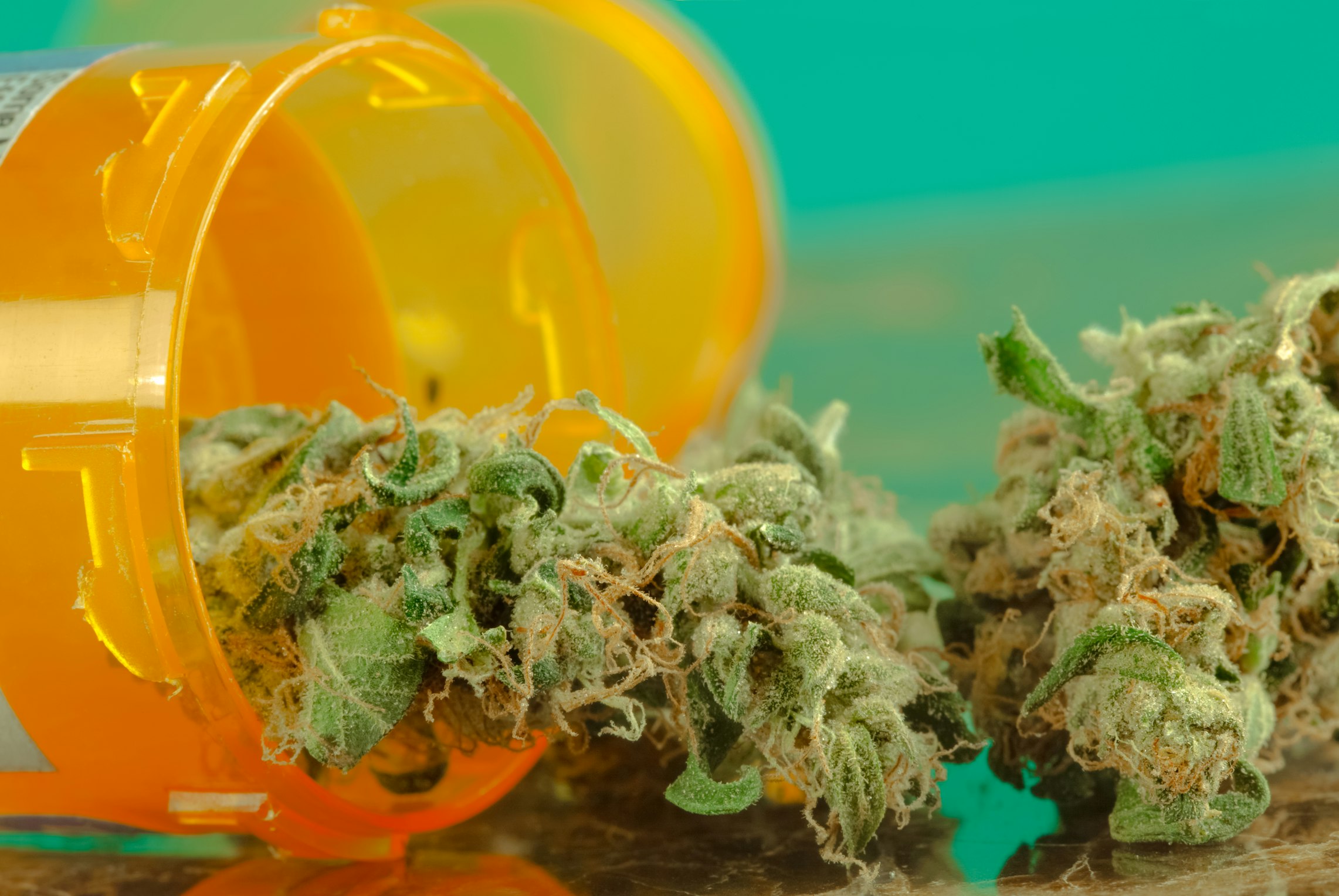 What is cannabis and how does it work in the body?