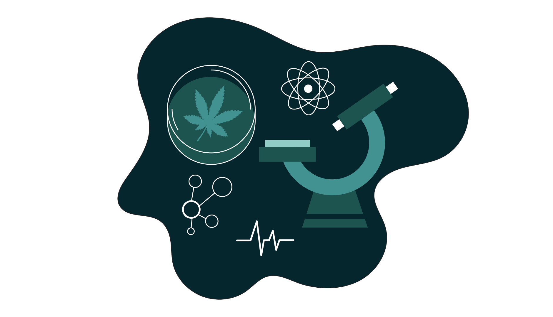 flavonoids, terpenes and cannabinoids