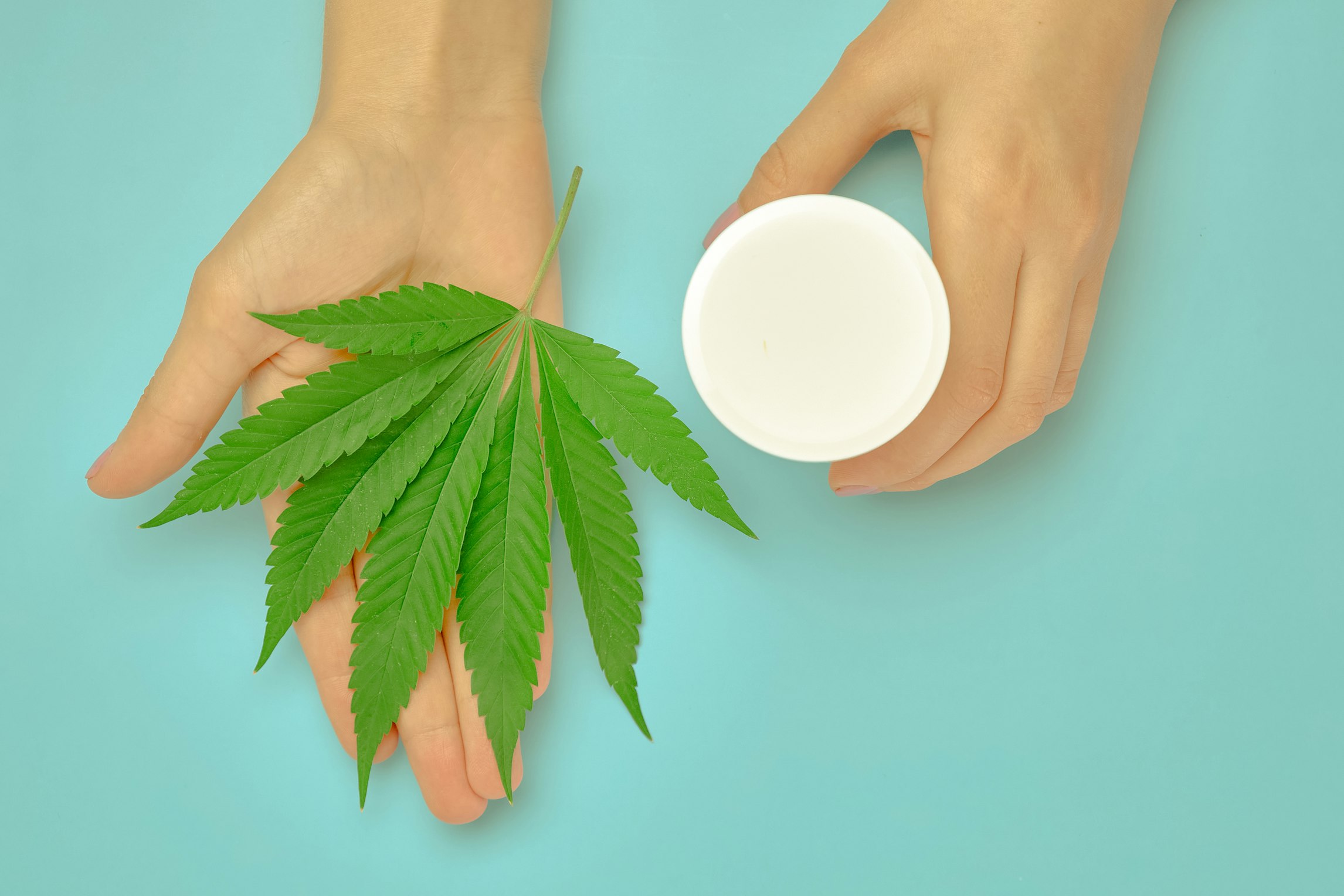 The benefits of THC topicals for pain relief The benefits of THC topicals for pain relief
