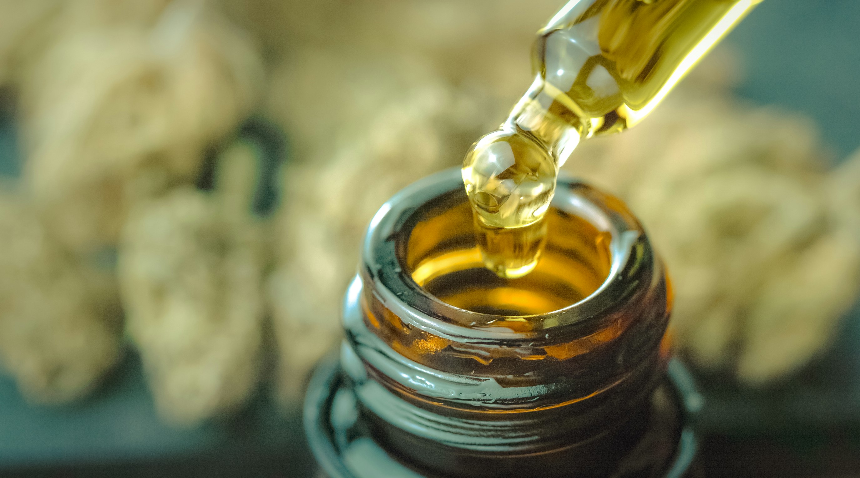 A guide to the colour of THC oil A guide to the colour of THC oil
