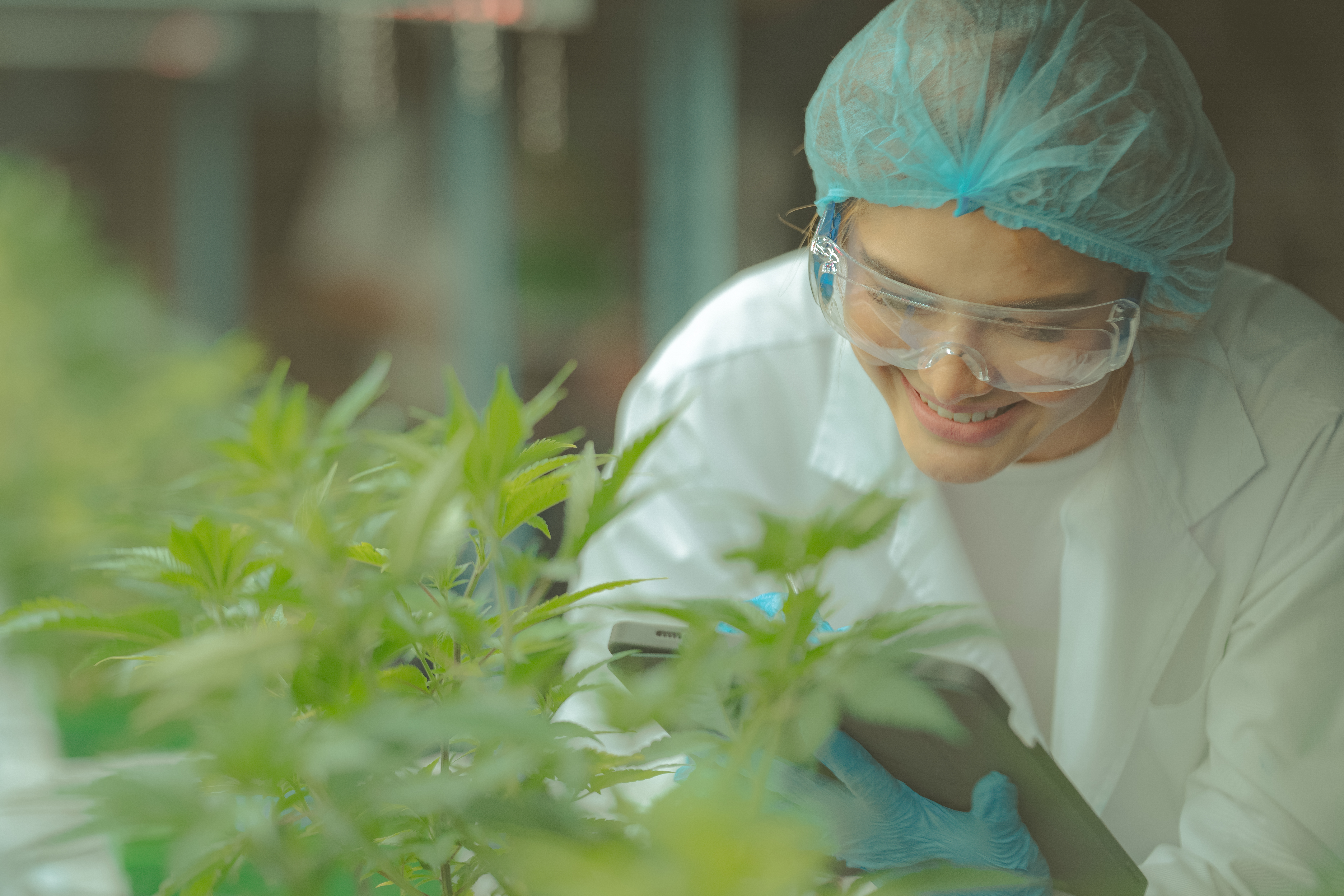 The science simplified: Medical cannabis treatments