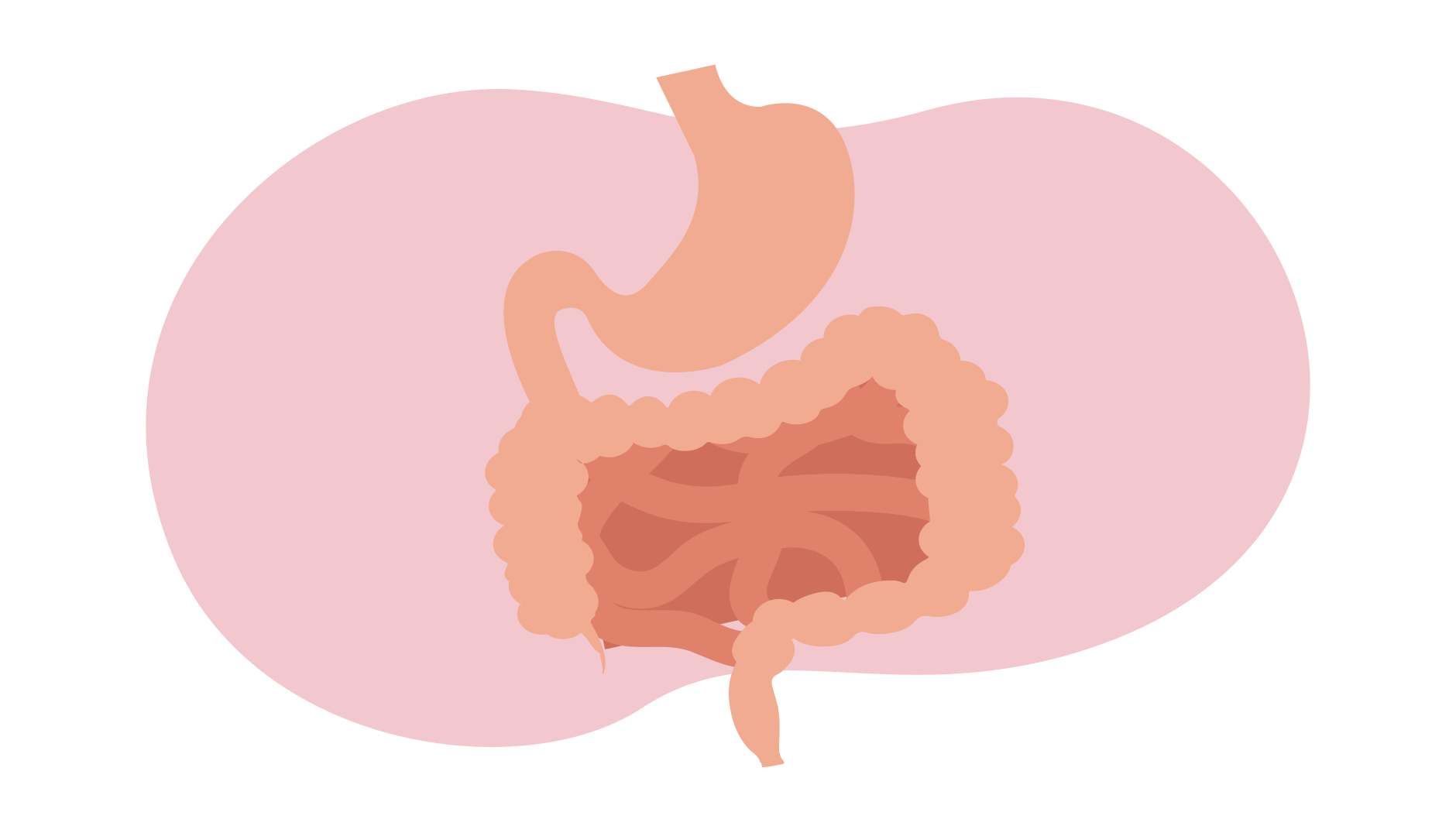 bowel