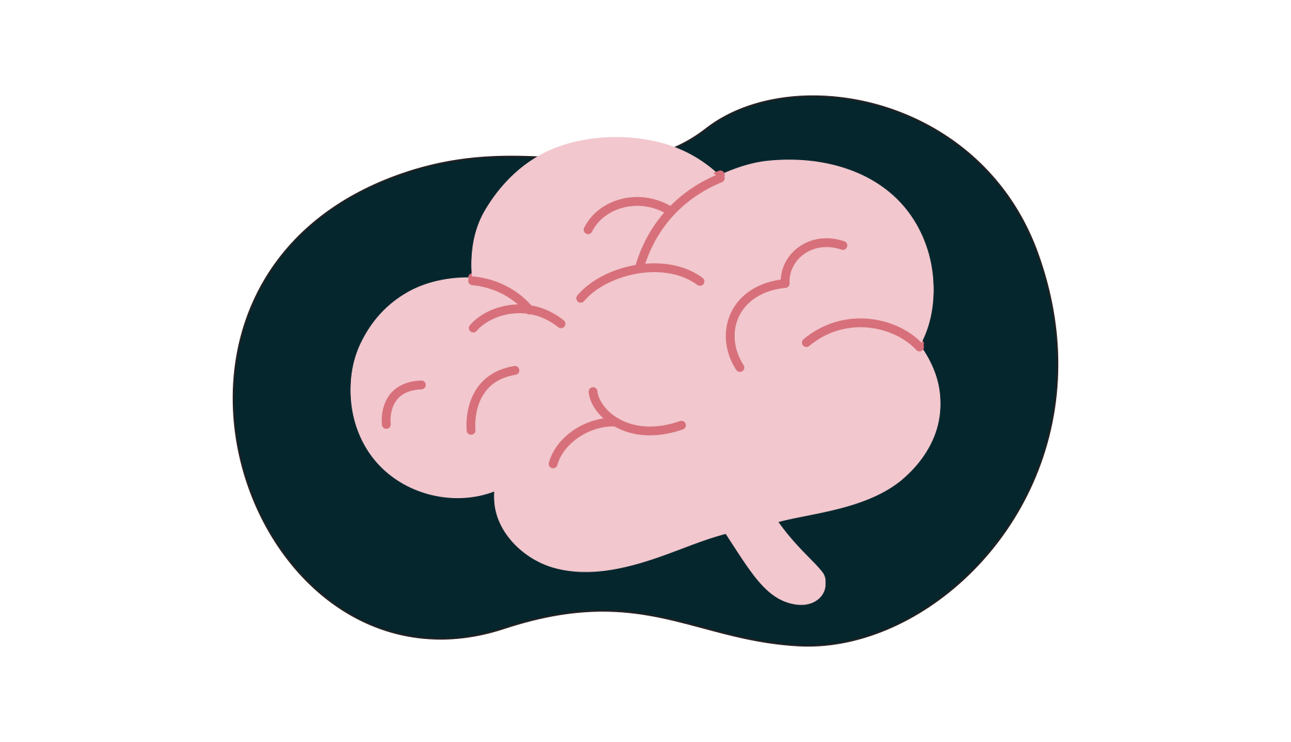 brain