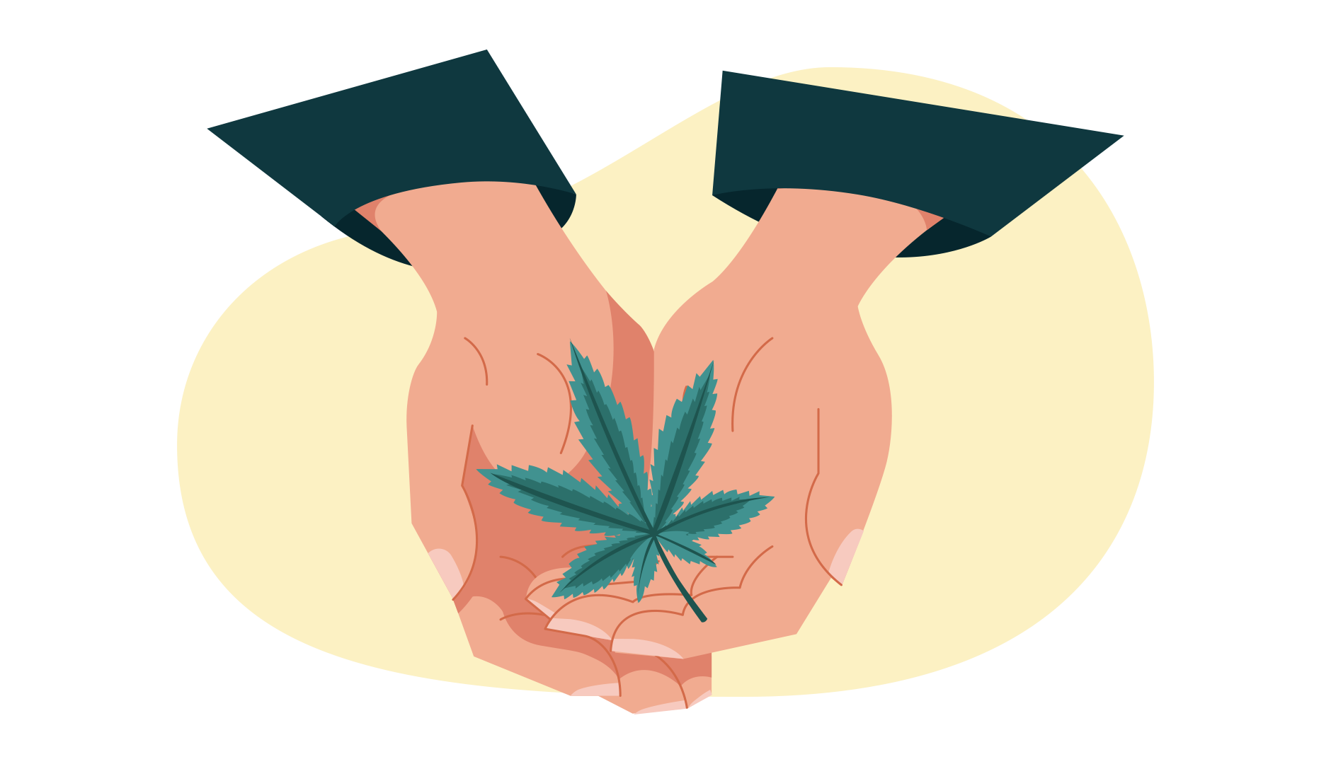weed cannabis cannabinoids
