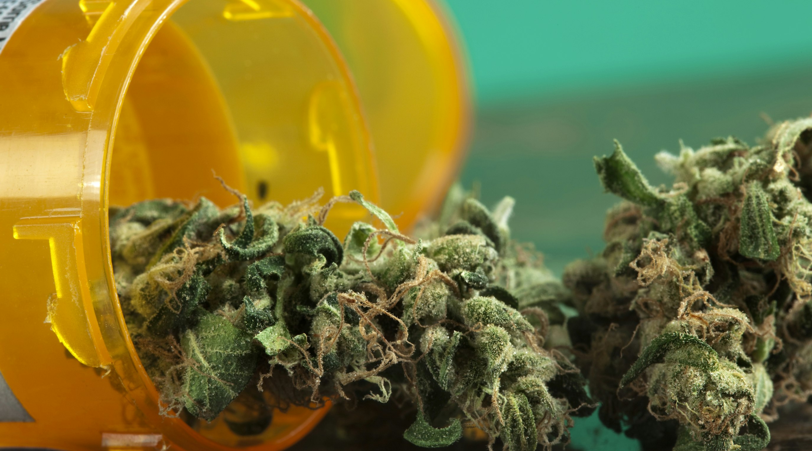 A smiling doctor holding a jar of medical cannabis buds while discussing medical cannabis treatment with a patient.