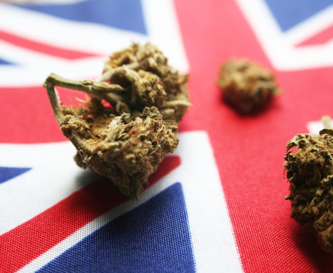 What's Holding Back Medical Cannabis in the UK