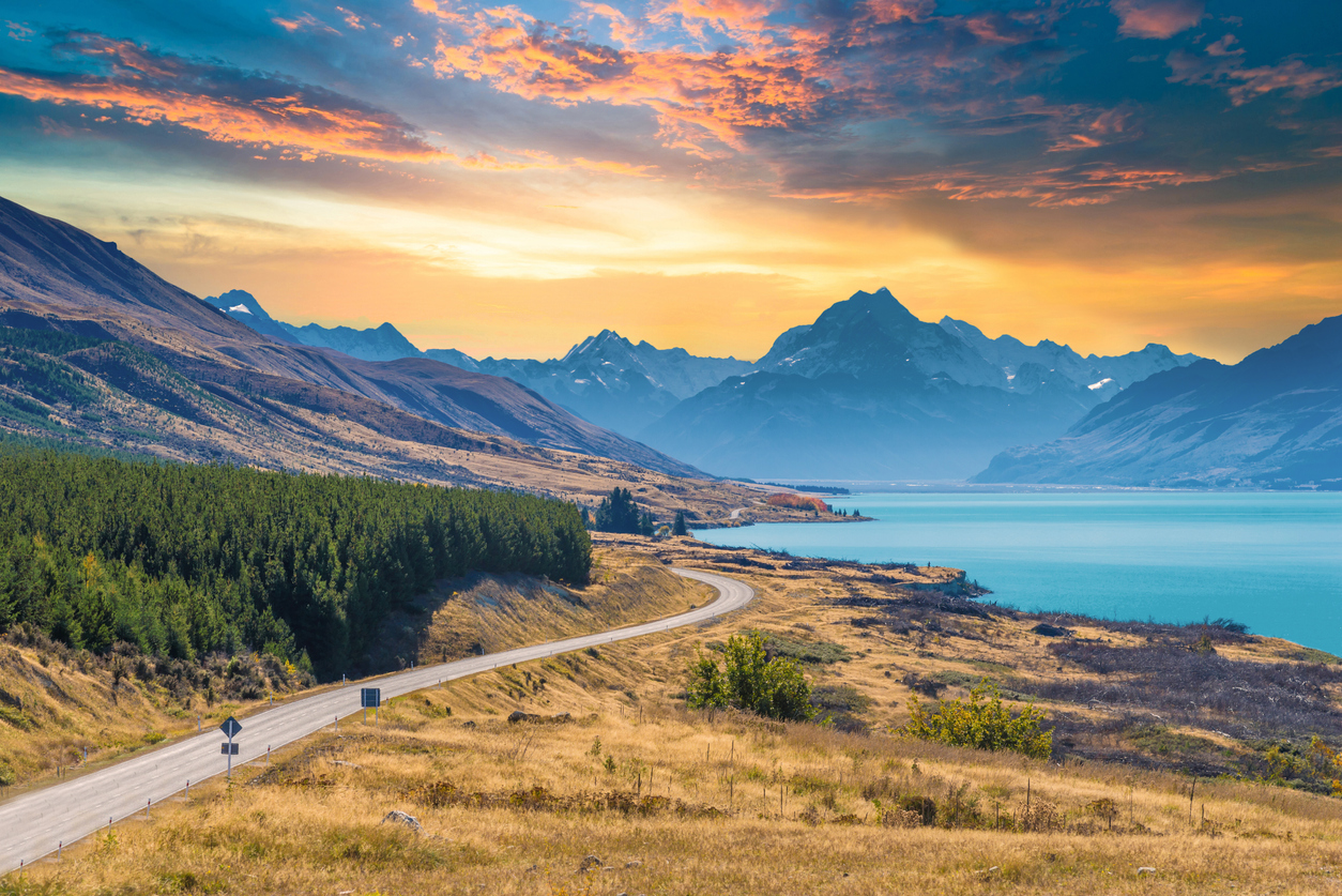 medical cannabis new zealand