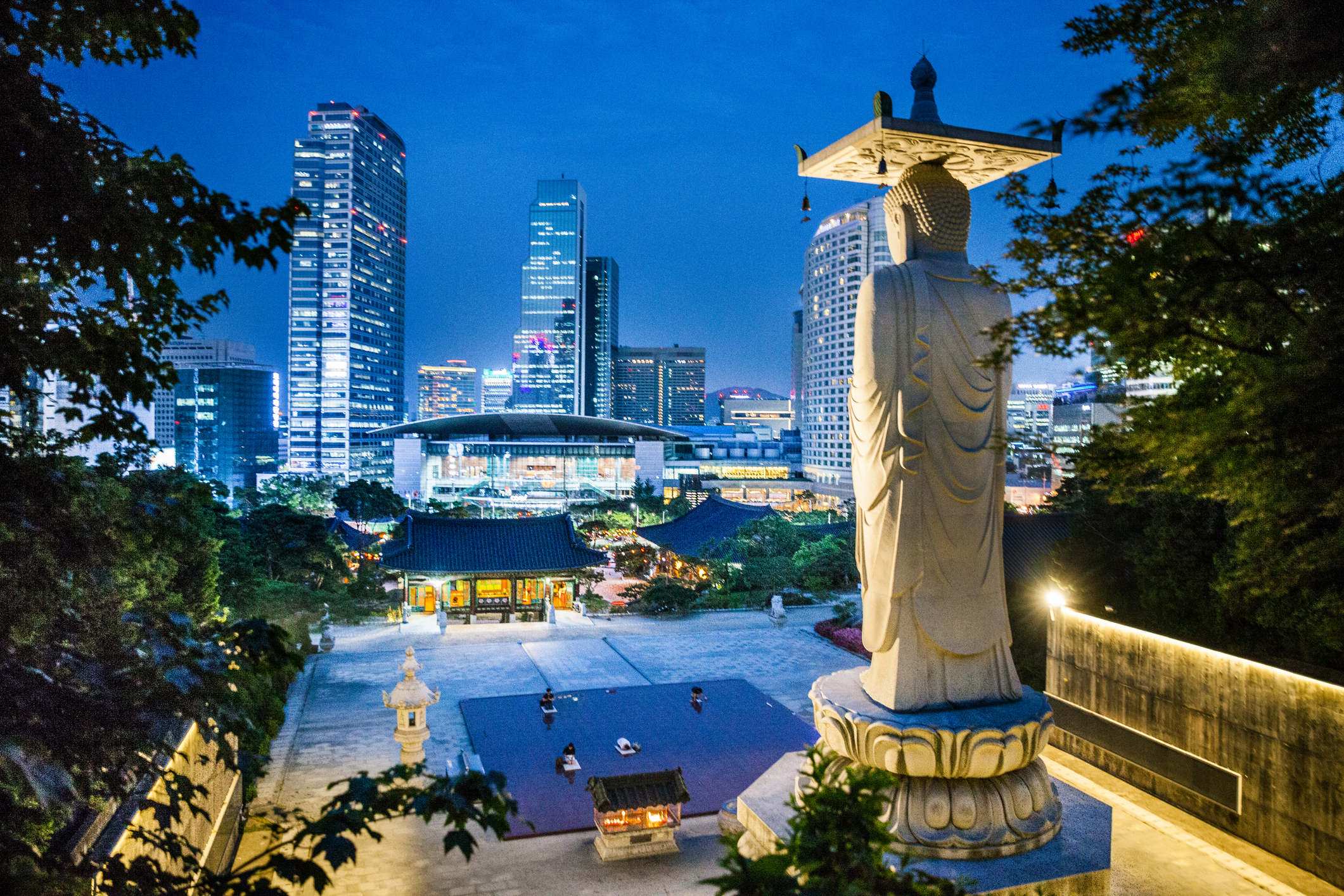 medical cannabis south korea